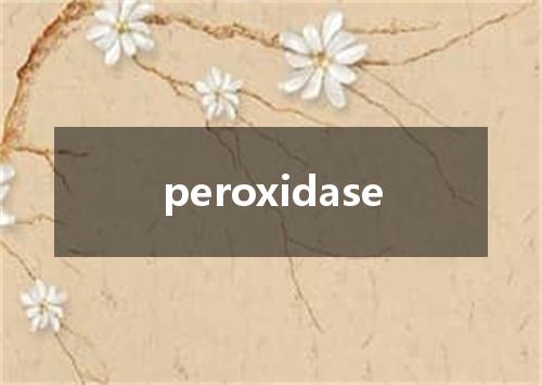 peroxidase是什么意思