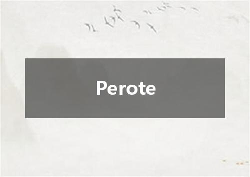 Perote是什么意思