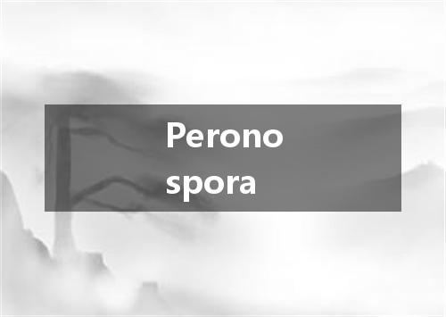 Peronospora是什么意思