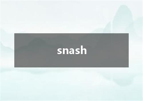 snash是什么意思
