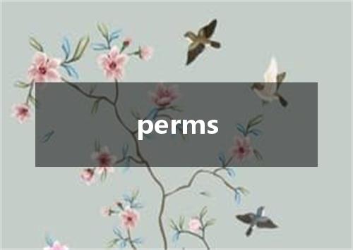 perms是什么意思