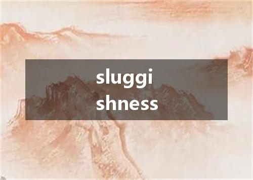 sluggishness是什么意思