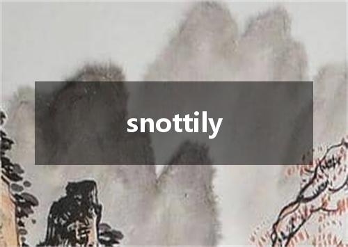 snottily是什么意思