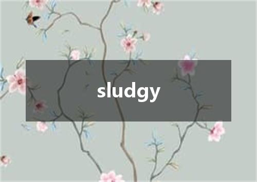 sludgy是什么意思