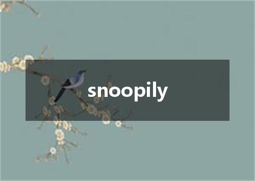 snoopily是什么意思
