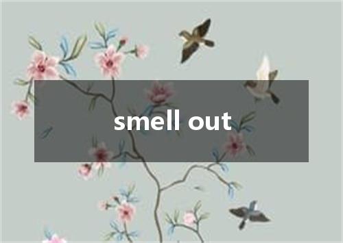 smell out是什么意思