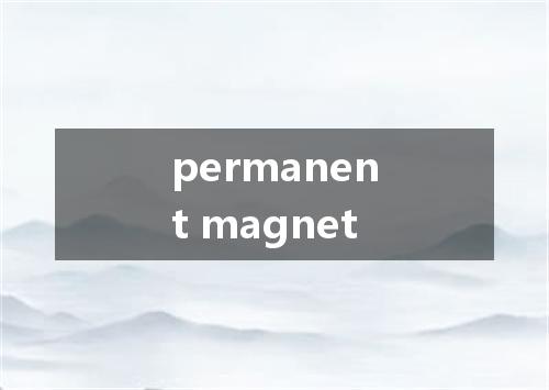 permanent magnet是什么意思