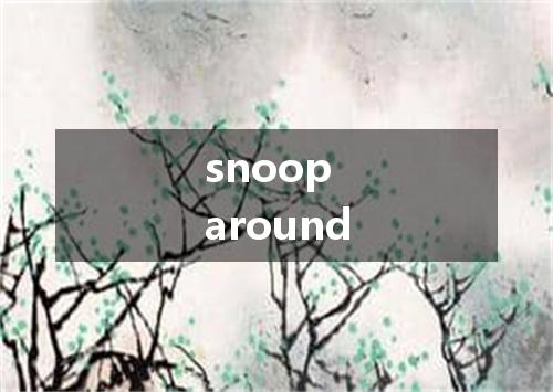 snoop around是什么意思