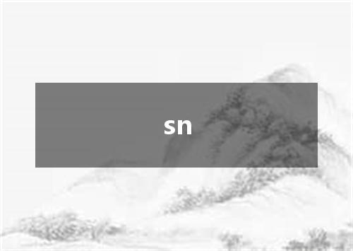 sn是什么意思