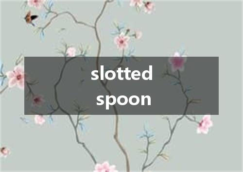 slotted spoon是什么意思