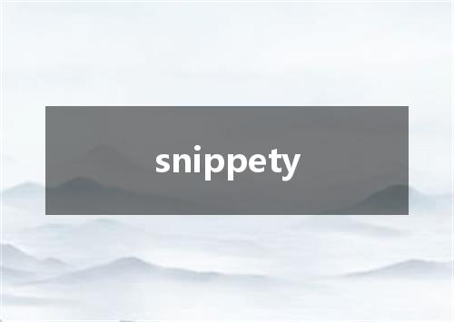snippety是什么意思