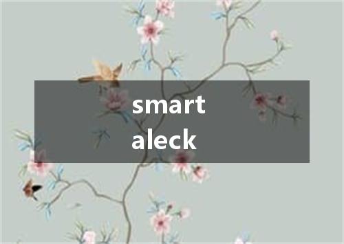 smart aleck是什么意思