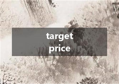 target price是什么意思