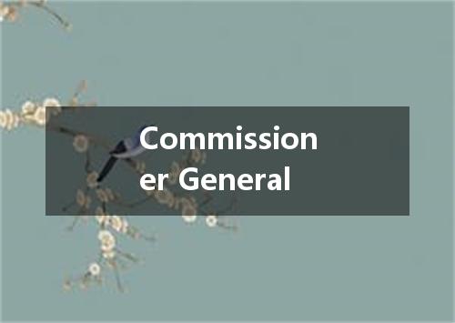 Commissioner General是什么意思