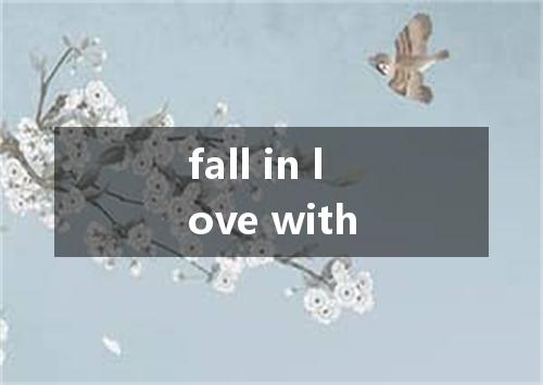 fall in love with是什么意思