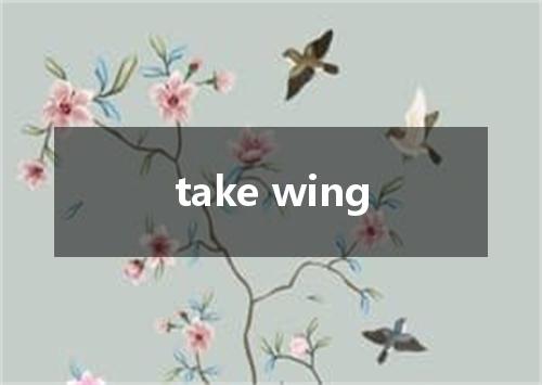 take wing是什么意思