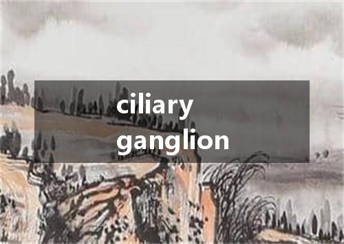 ciliary ganglion是什么意思