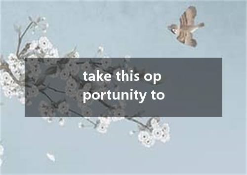 take this opportunity to是什么意思