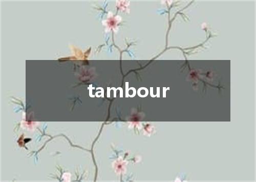 tambour是什么意思
