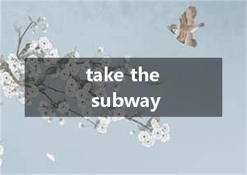 take the subway是什么意思