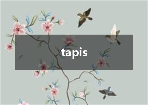 tapis是什么意思
