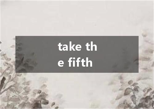 take the fifth是什么意思