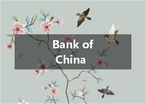 Bank of China是什么意思
