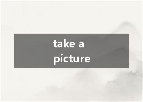 take a picture是什么意思