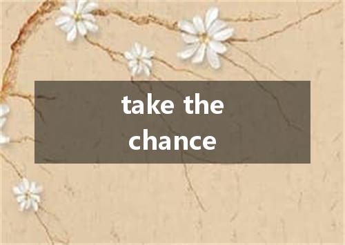 take the chance是什么意思