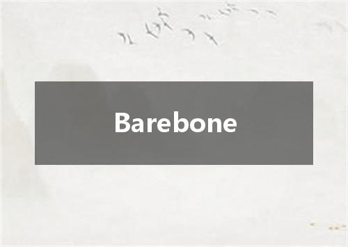 Barebone是什么意思