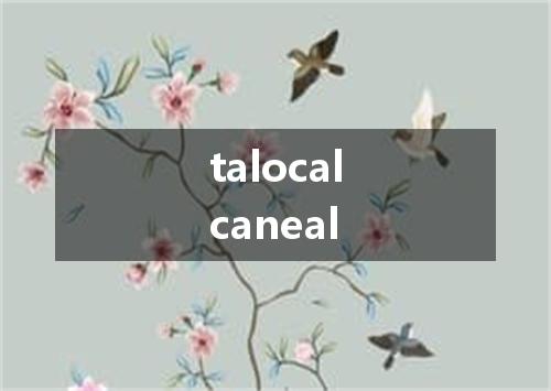 talocalcaneal是什么意思