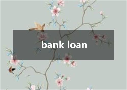 bank loan是什么意思