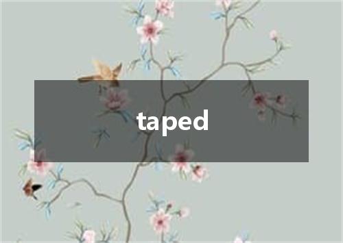 taped是什么意思