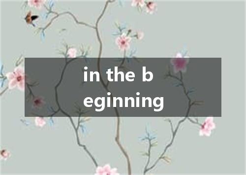 in the beginning是什么意思