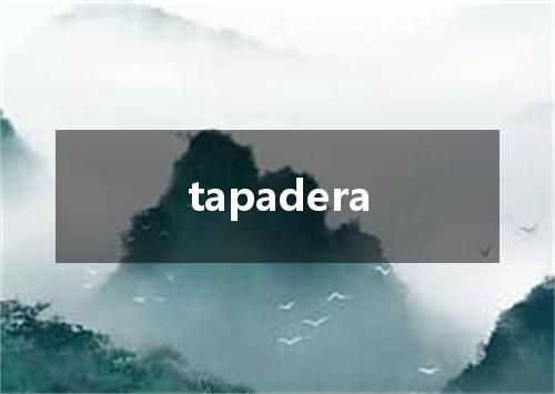 tapadera是什么意思