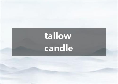 tallow candle是什么意思