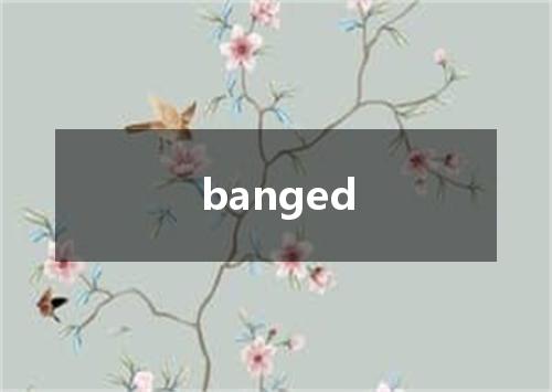banged是什么意思
