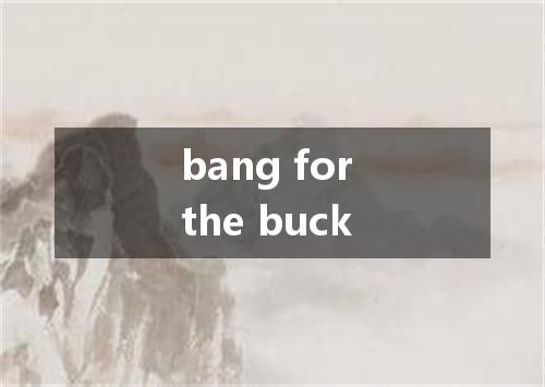 bang for the buck是什么意思