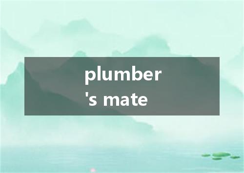 plumber's mate是什么意思
