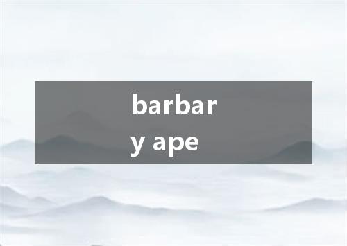 barbary ape是什么意思