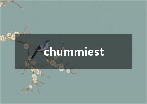 chummiest是什么意思