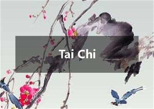 Tai Chi是什么意思