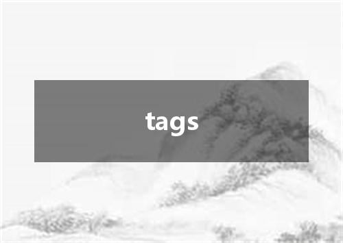 tags是什么意思