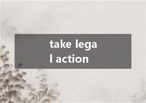 take legal action是什么意思
