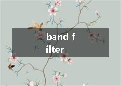 band filter是什么意思