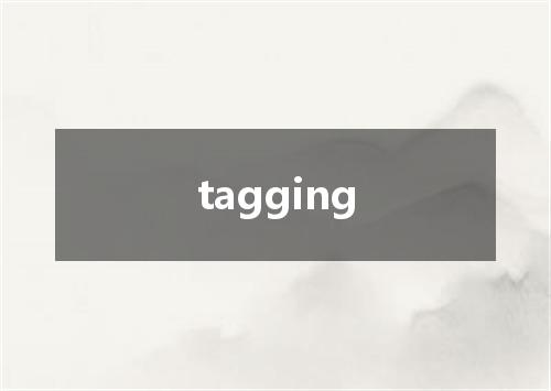 tagging是什么意思