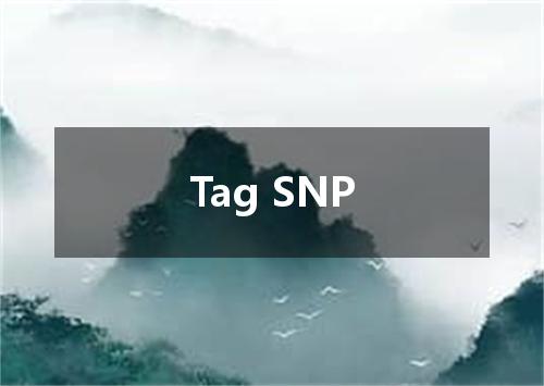 Tag SNP是什么意思