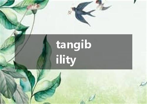tangibility是什么意思