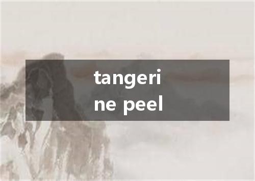 tangerine peel是什么意思