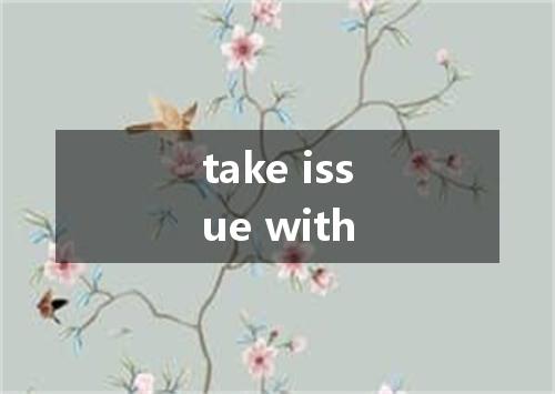 take issue with是什么意思